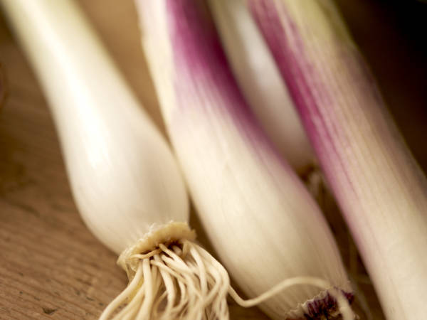 Dîner des cinq sens