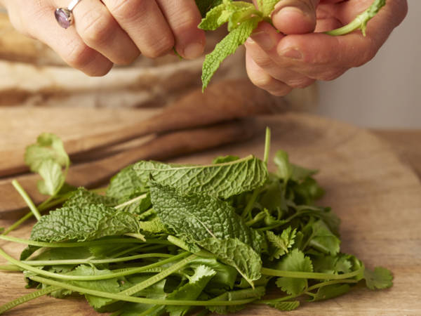 Dîner des cinq sens