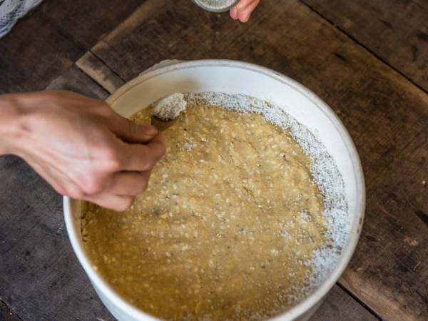 Stage Koji & Tempeh, savoir-faire et cuisine!