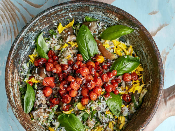 Stage de cuisine végétarienne 23-27/09/26